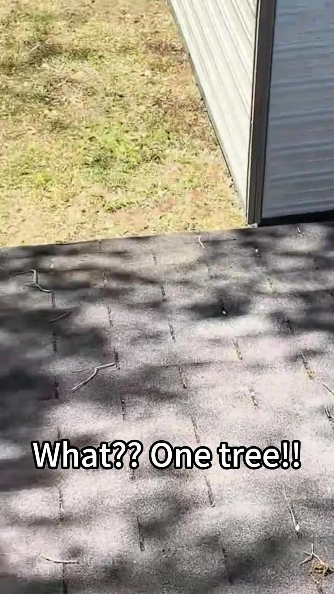 @Funnysmileus