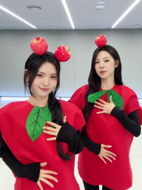 @dodree (도드리)
