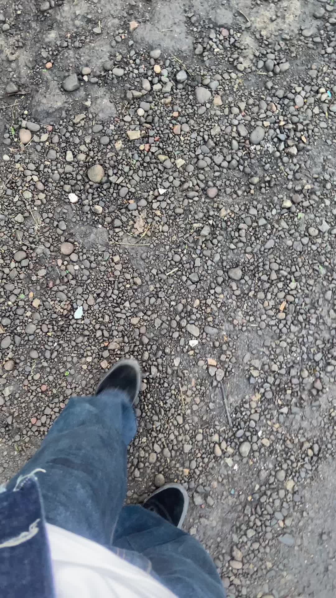 @سلمان