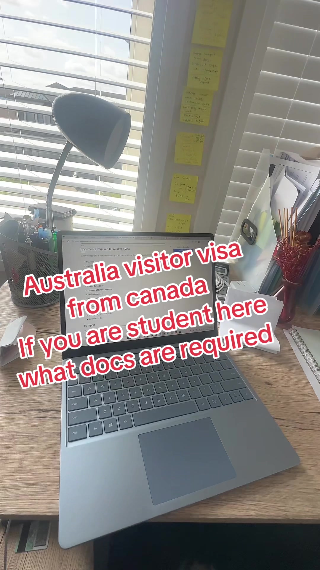 @Immigration Services 🌍