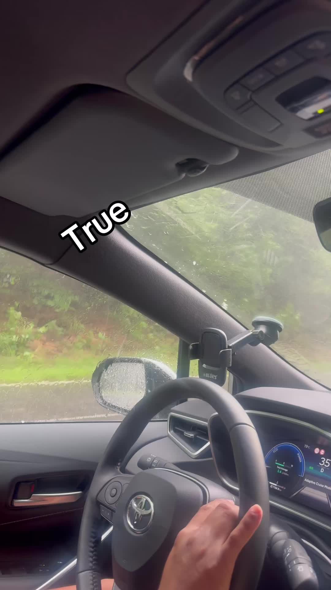 @Saba