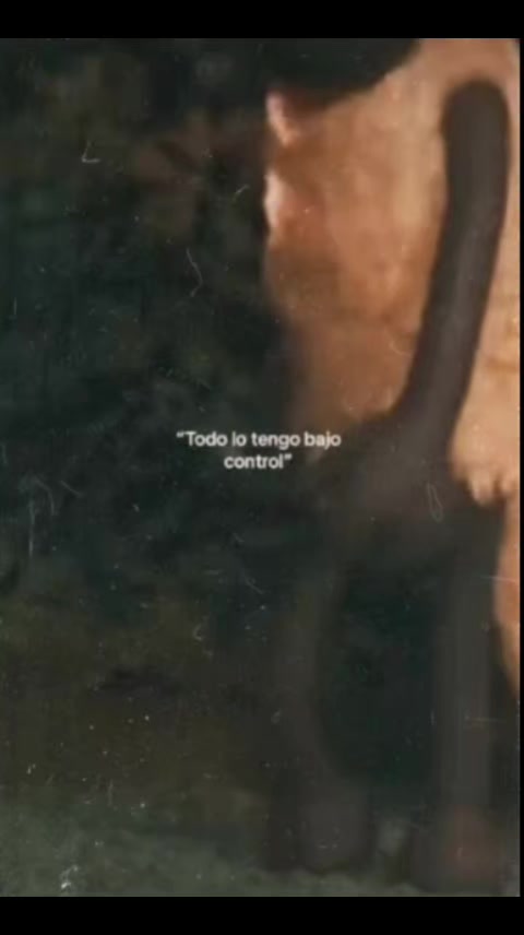 @WenArgüelloo
