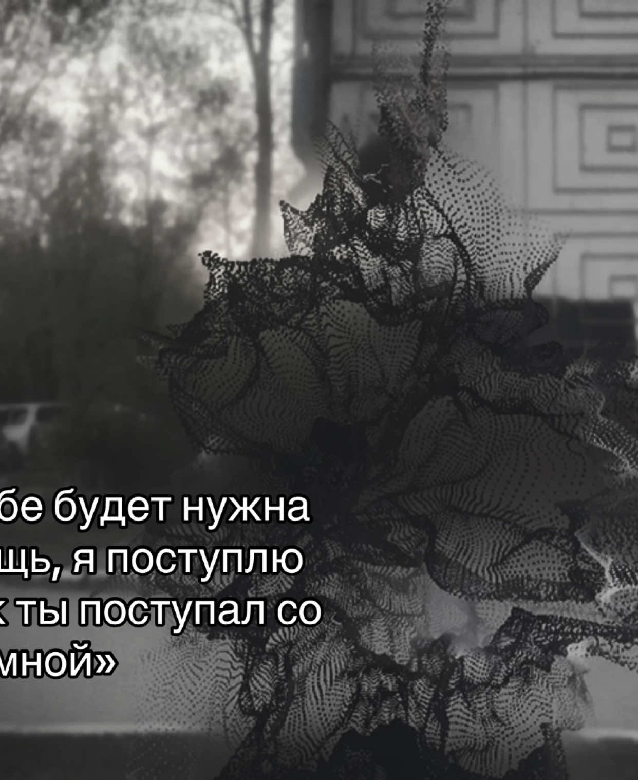 @🖤