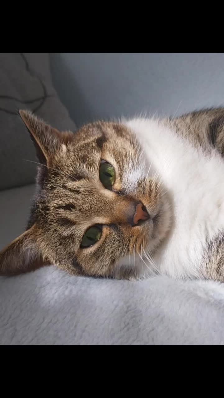 @Scotty🐱🐾🐱🐾 🐱🐾🐱🐾🐱🐾