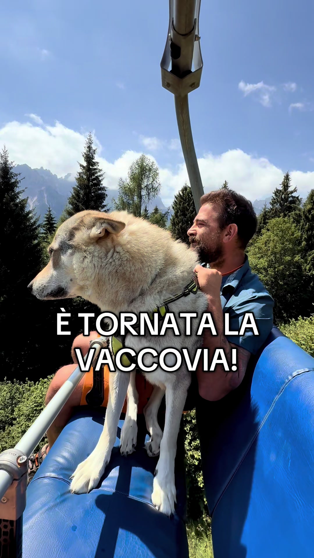 @WalkingWolf