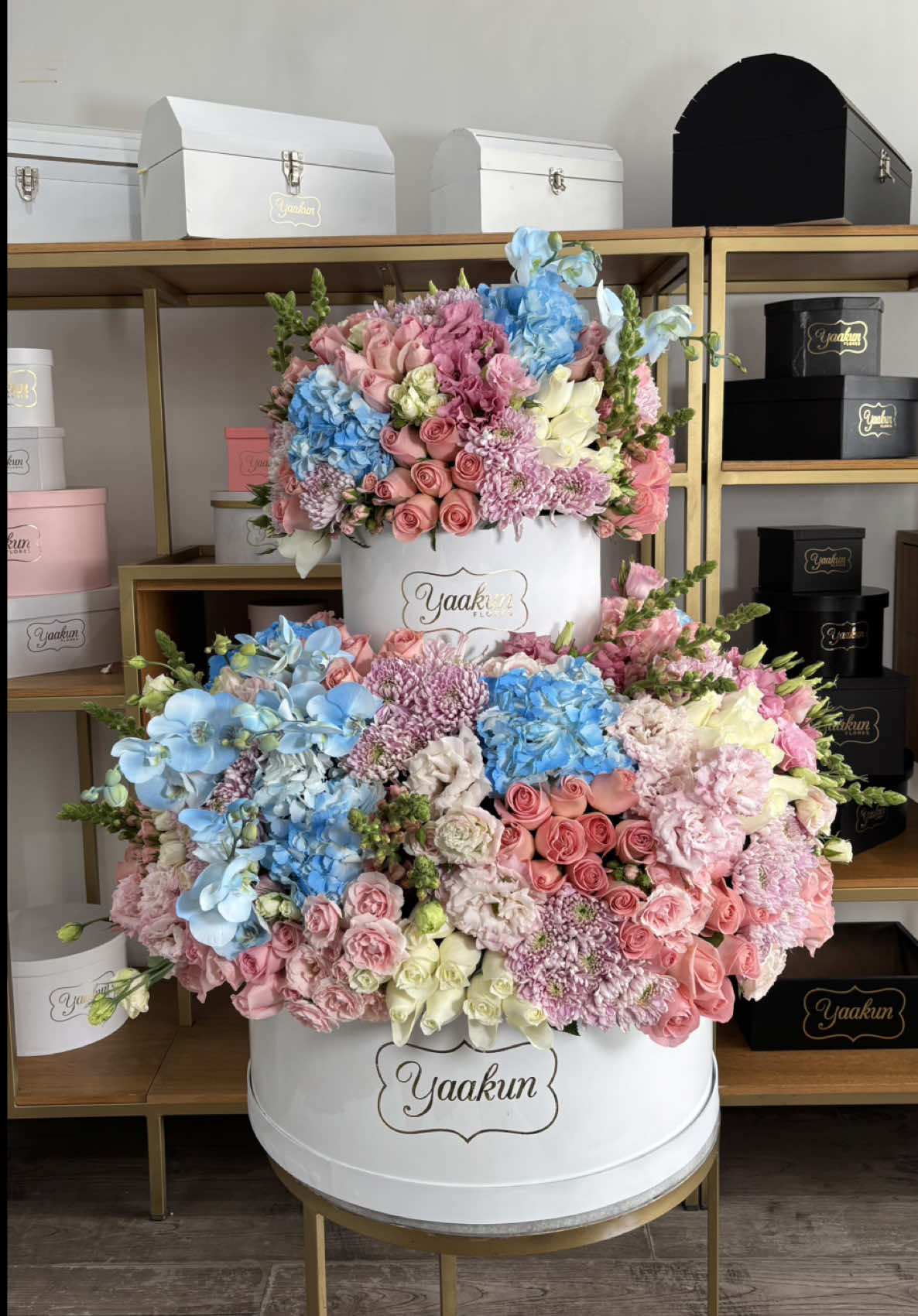 @Yaakun Flores