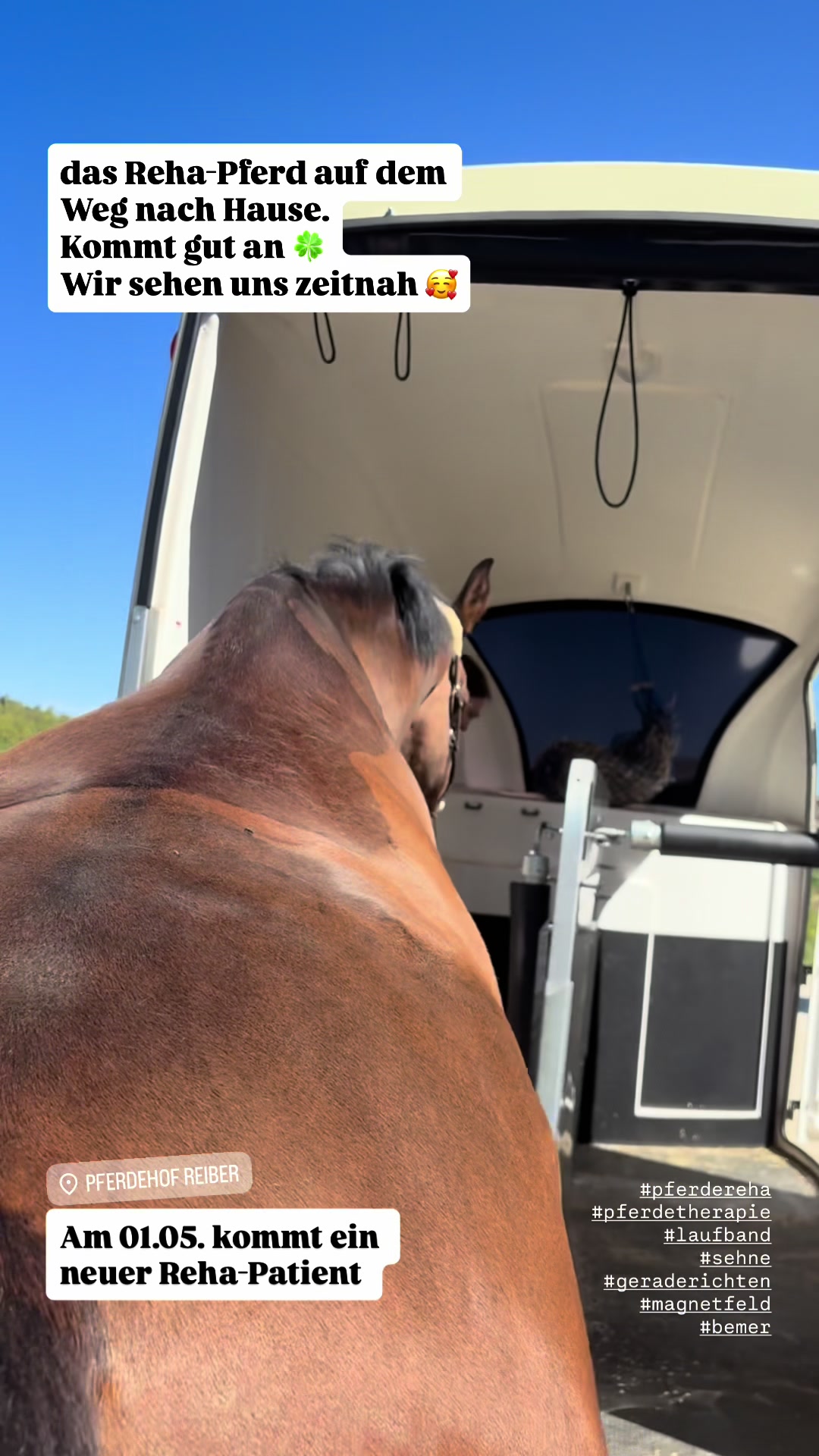 @equine_body_in_balance