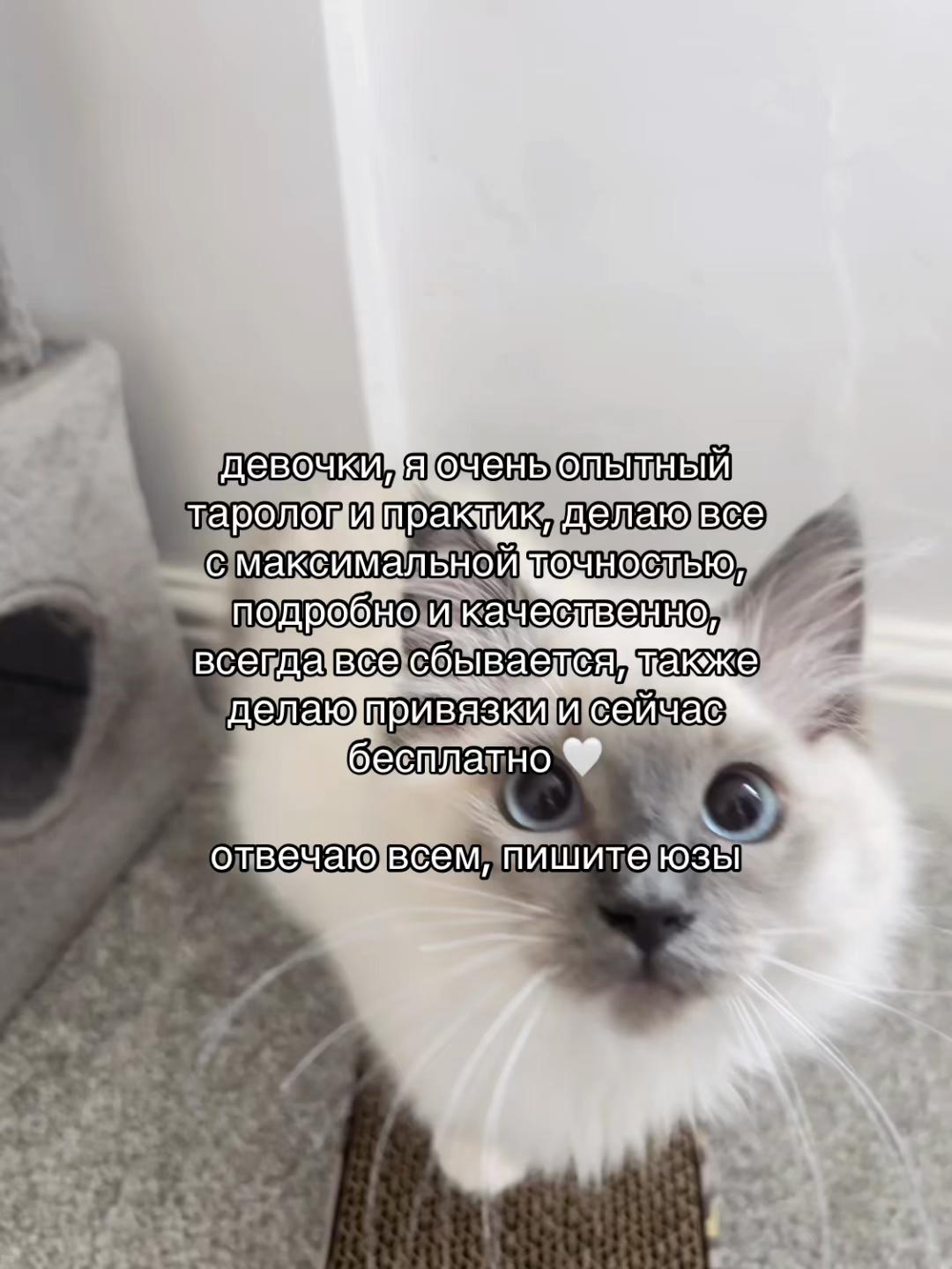 @prtarr0tka