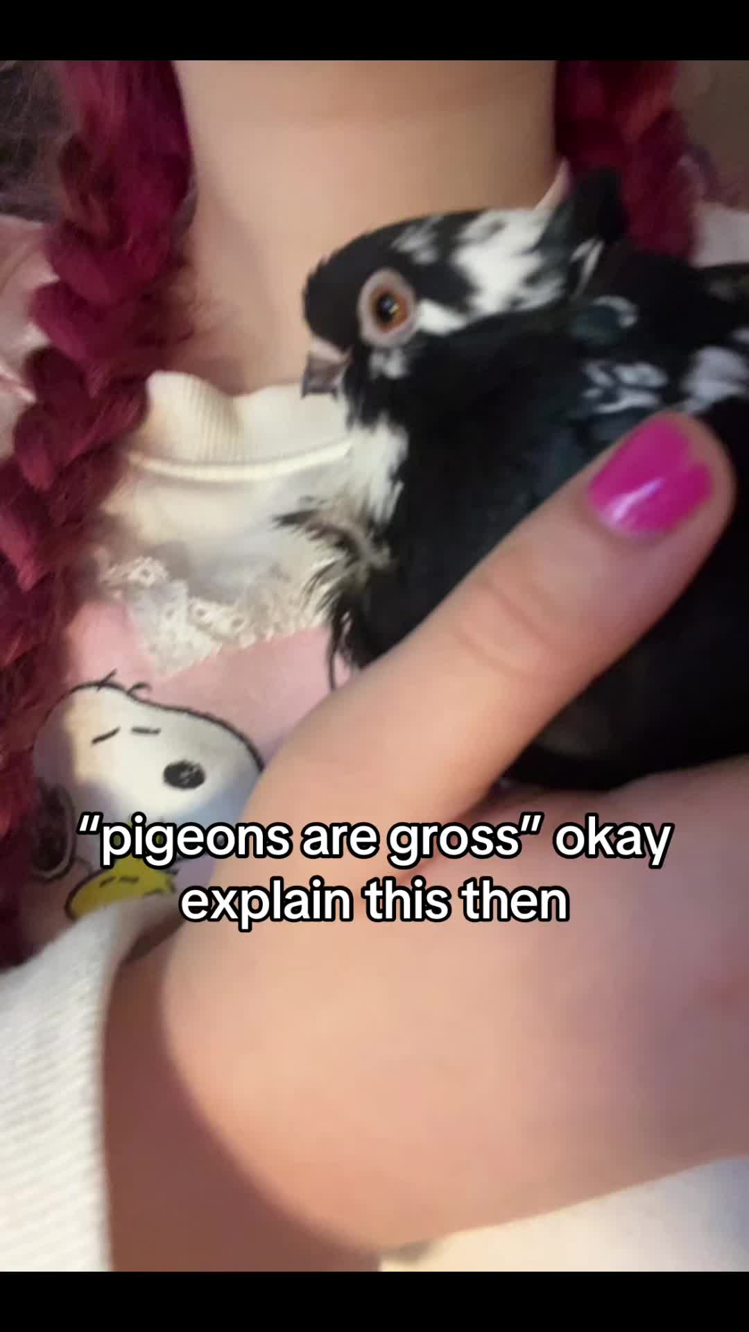 @dulciewulciee