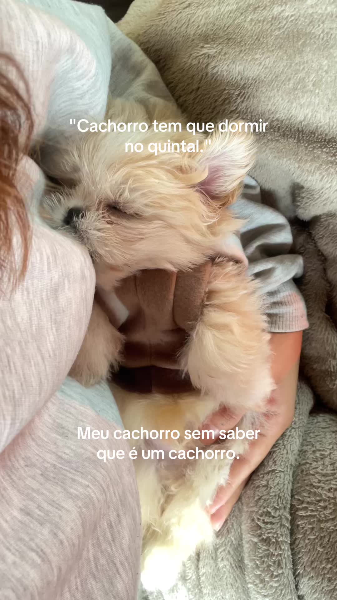 @✺ Beatriz Cardia ✺