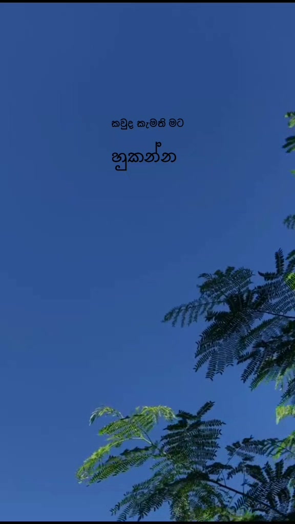 @love story 🤍