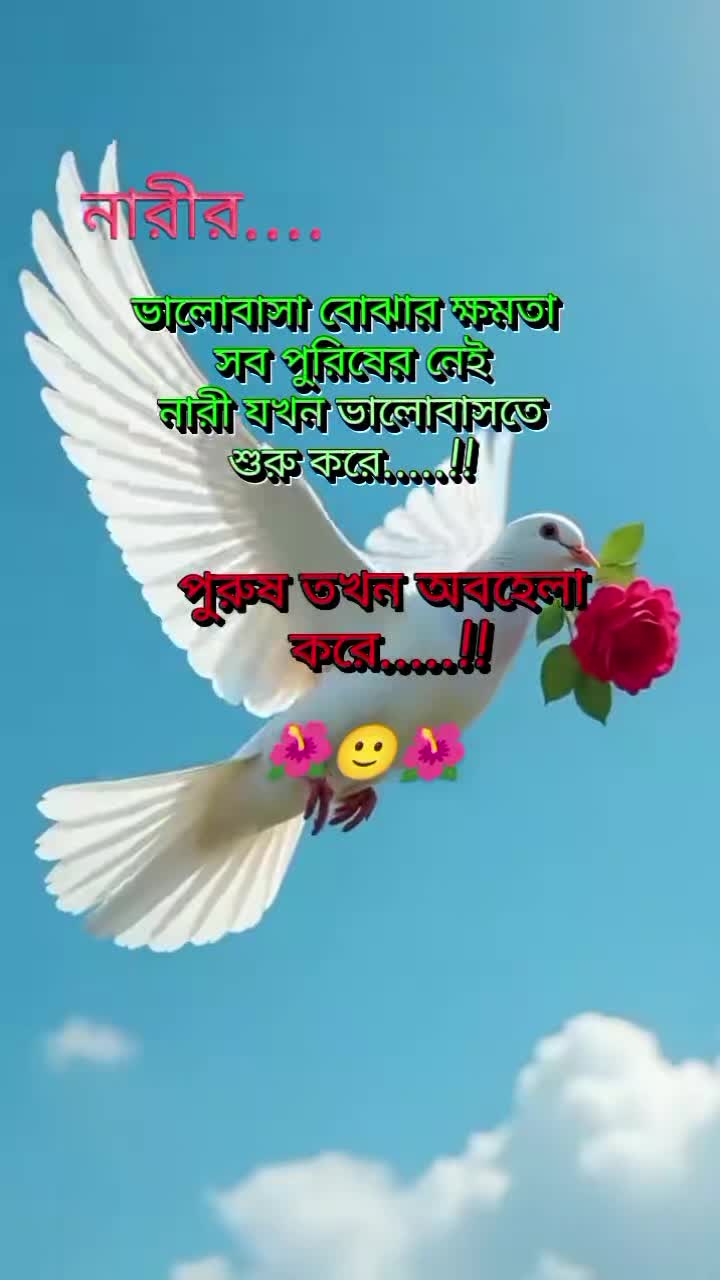 @kohinur begom