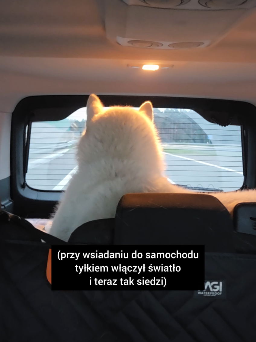 @husky.ananaski