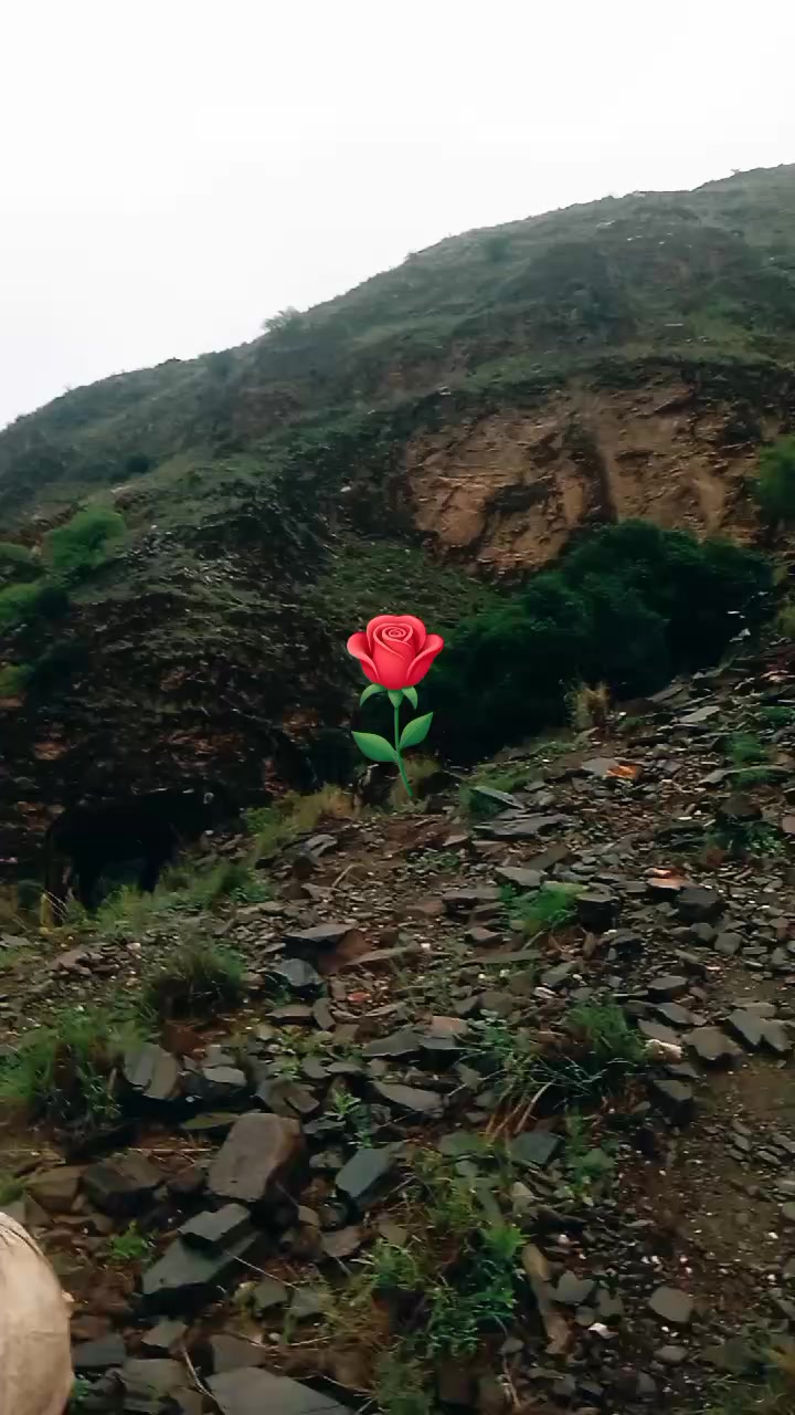@🌹🌹❤️❤️❤️🌹🌹