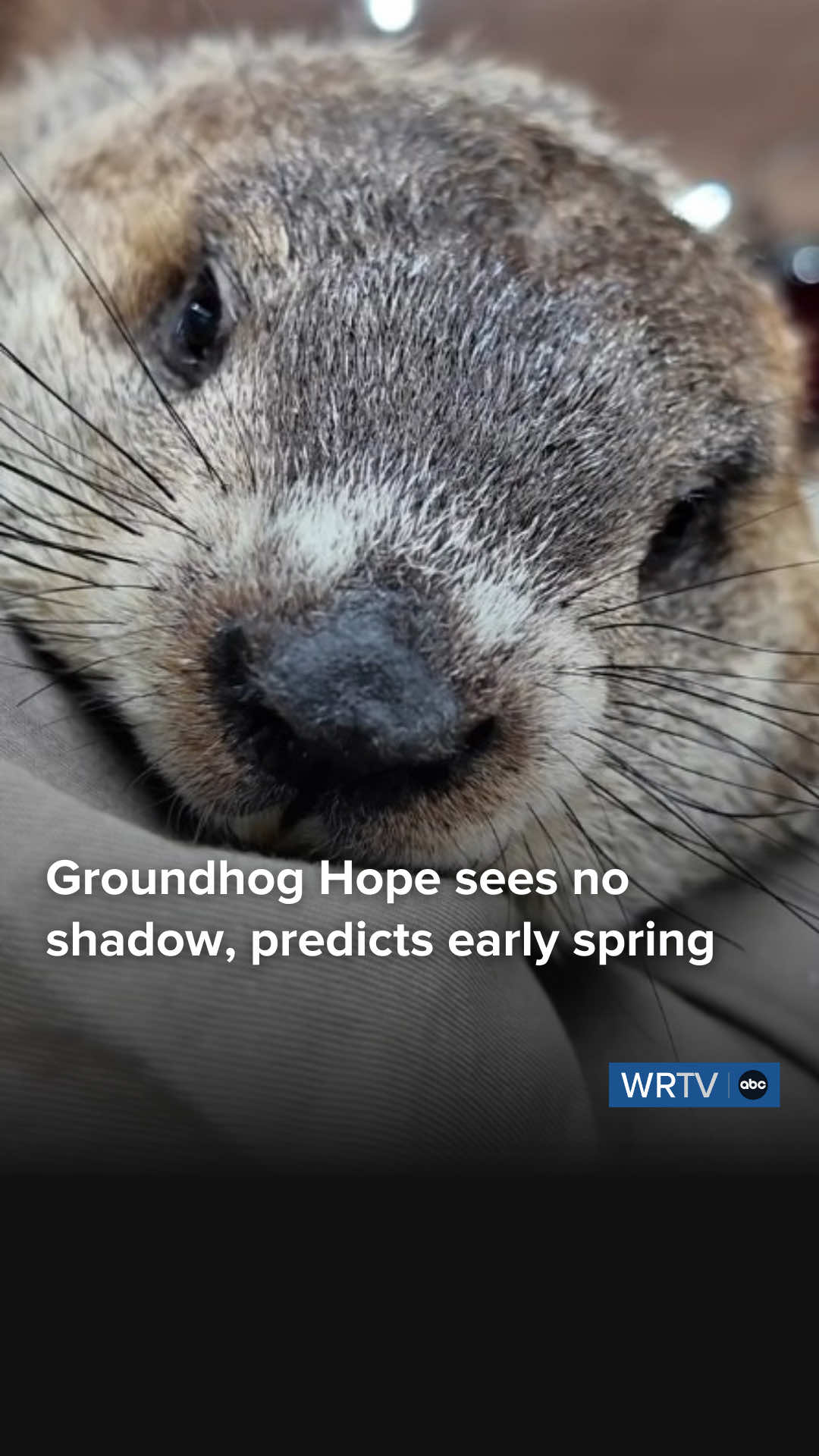 @WRTV News Indianapolis