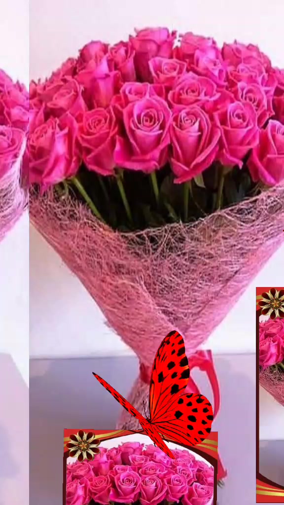 @Sam 647 🦋🦋🦋💖