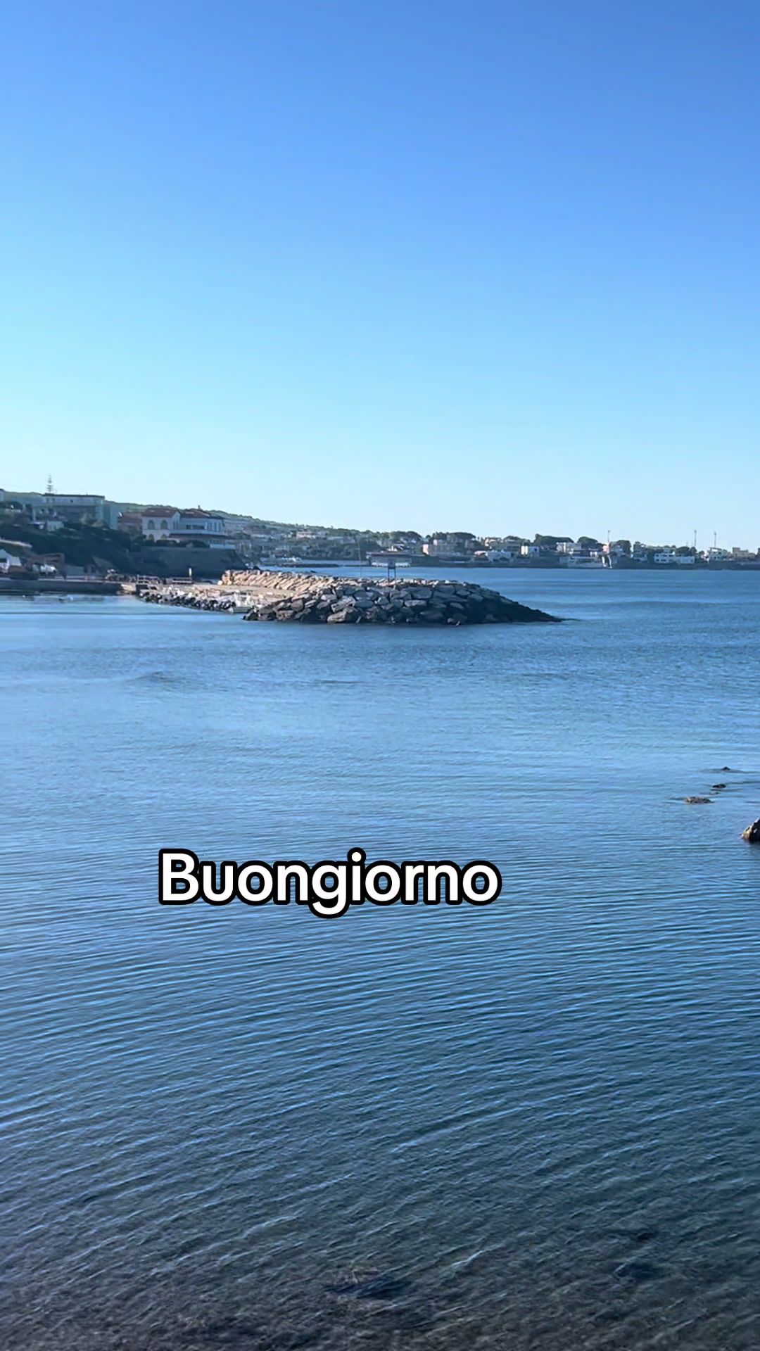 @Luna chiena