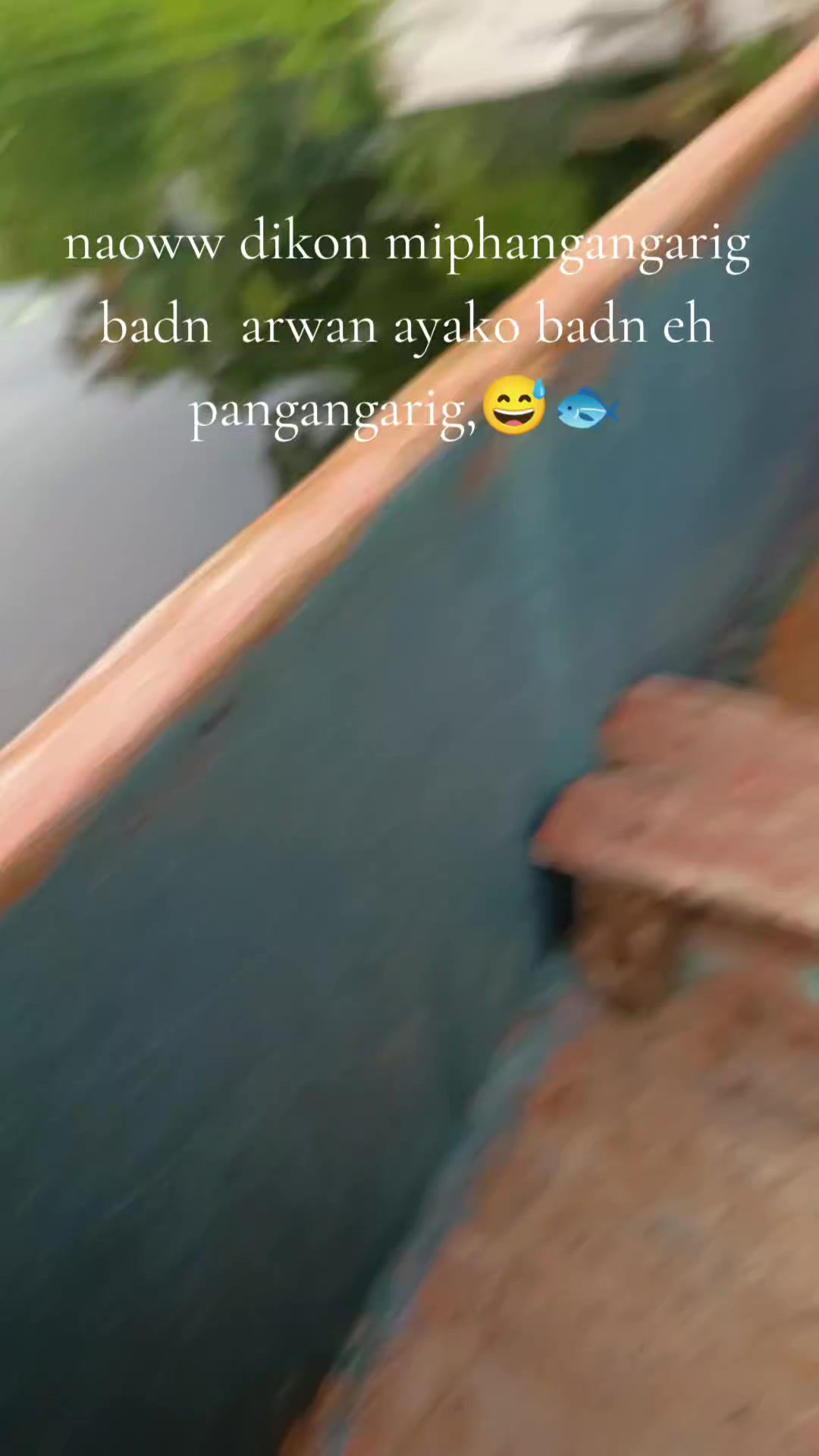 @≈ariq≈