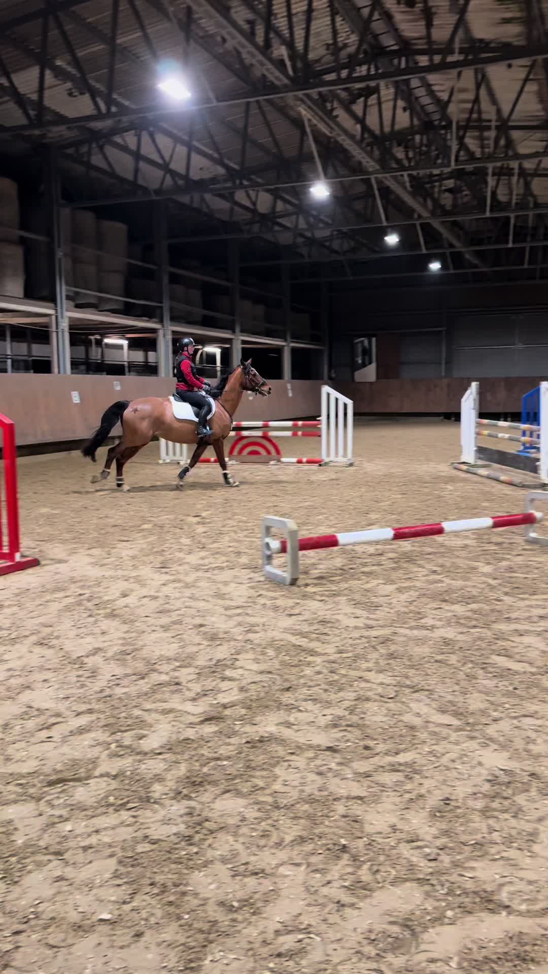 @lea_ponyeventing