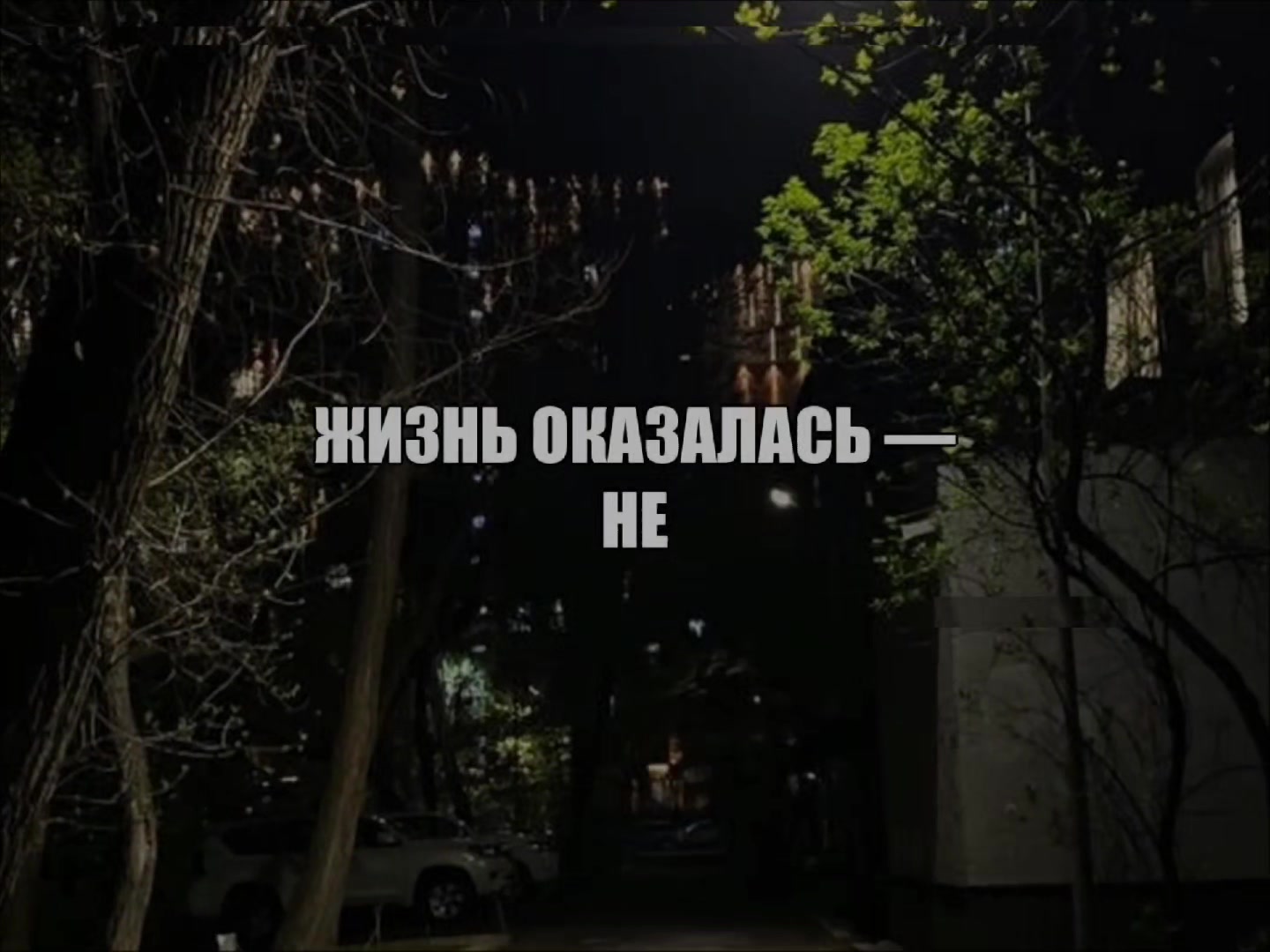 @SearchVibe.music