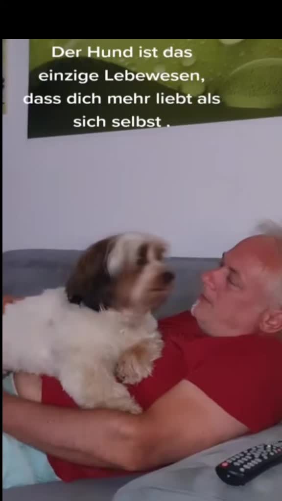 @12Pfoten&die Fellnasenmanager