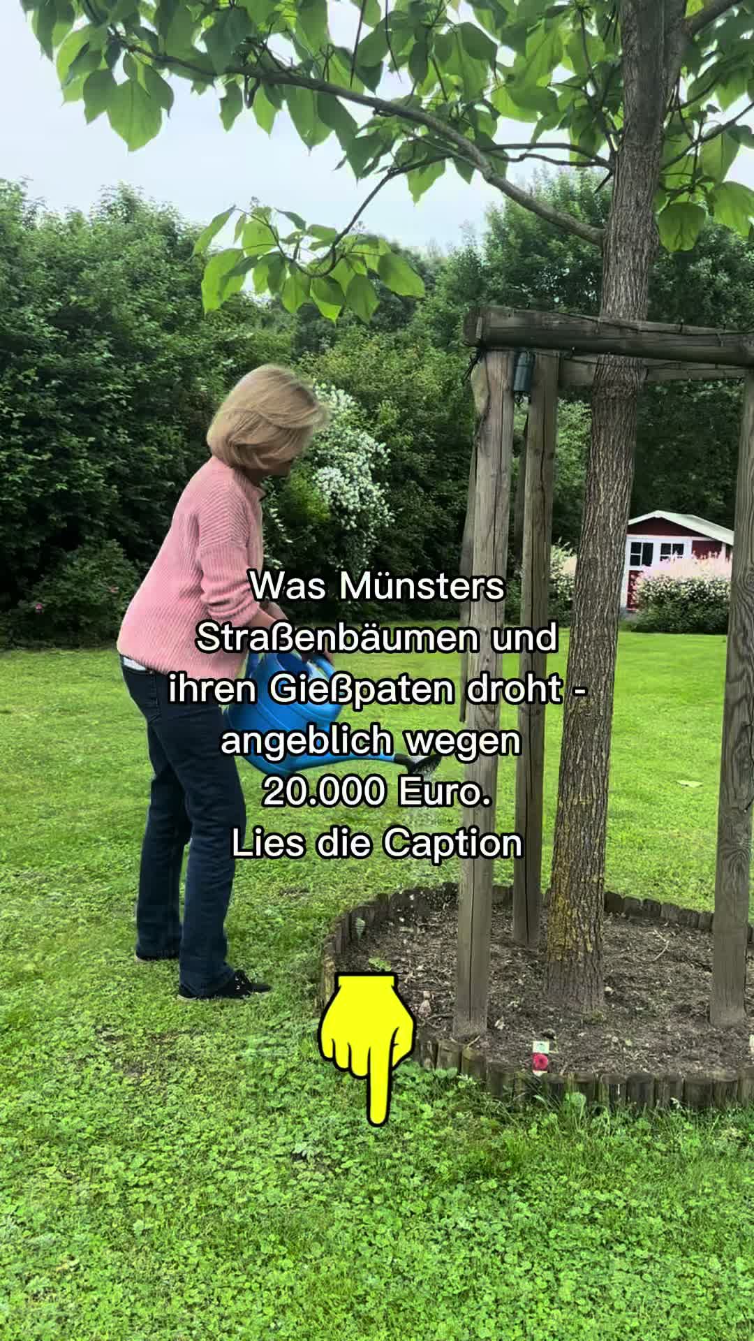 @babette_lvl