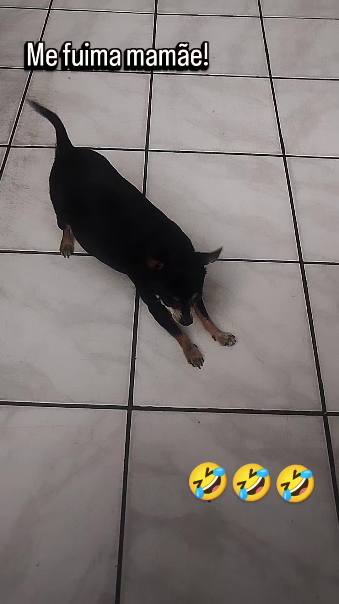 @vanetinhadotiktok