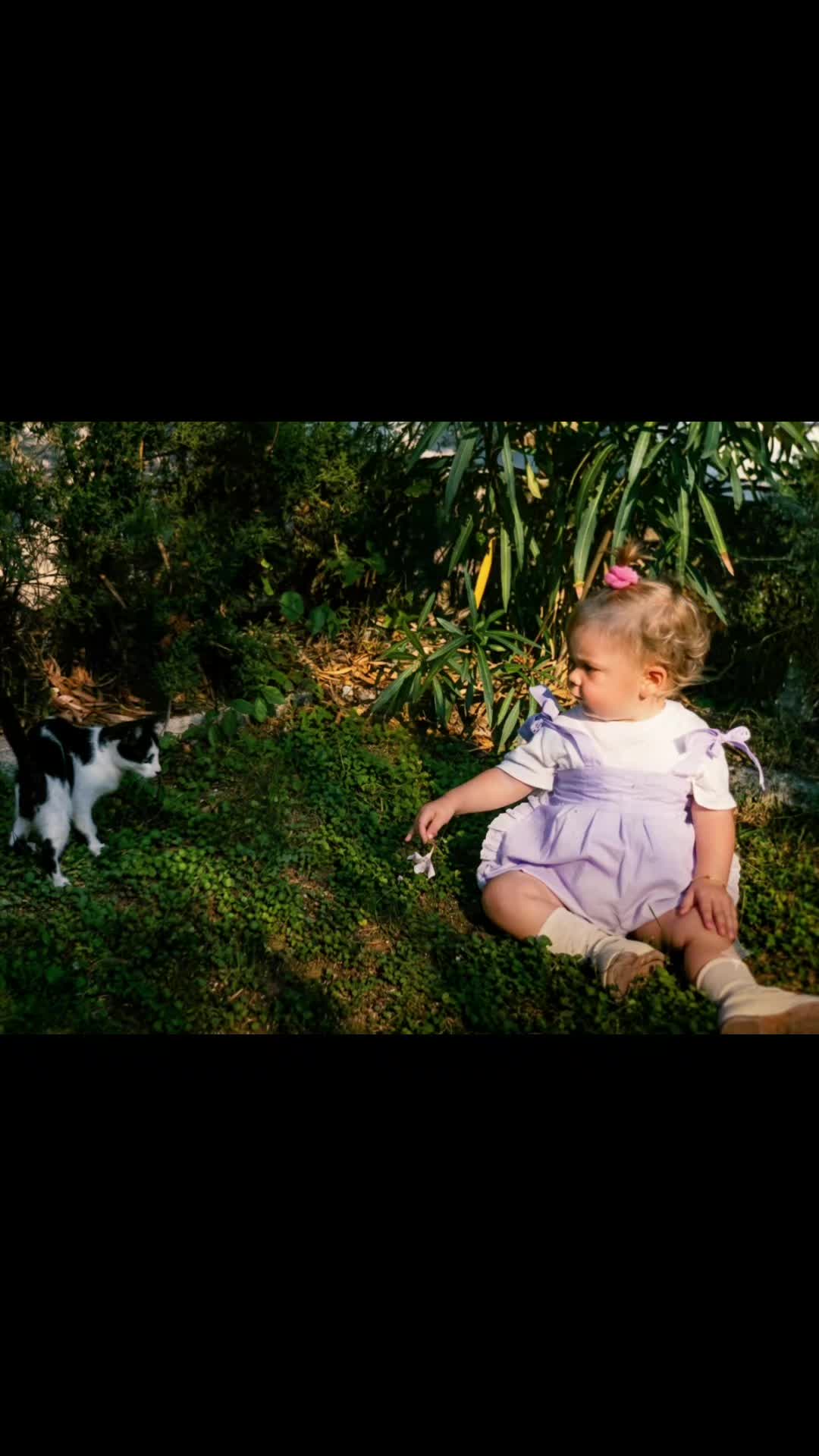 @rio.supercat