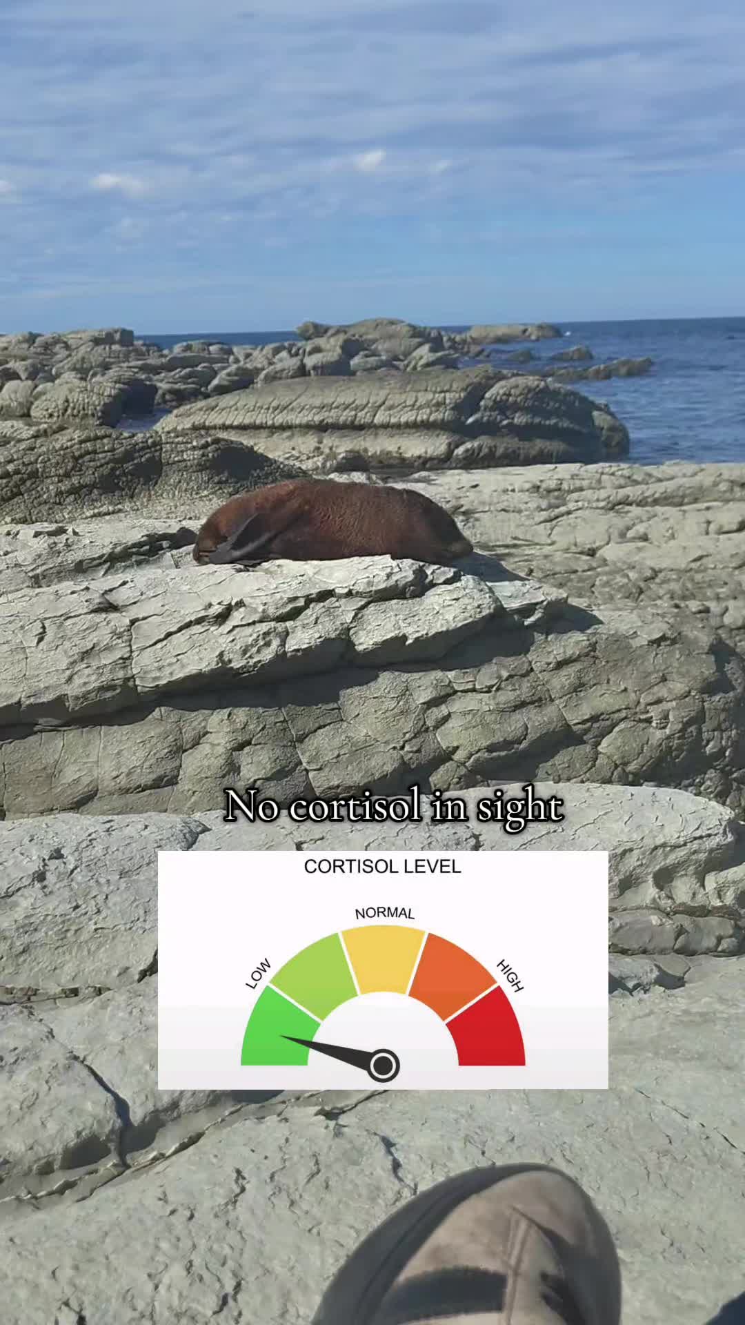 @paleonate