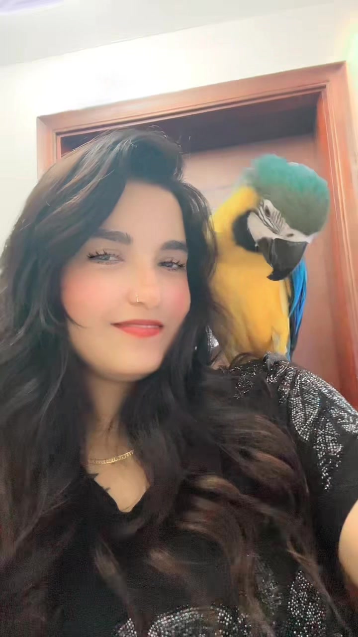 @Pushpa❤️