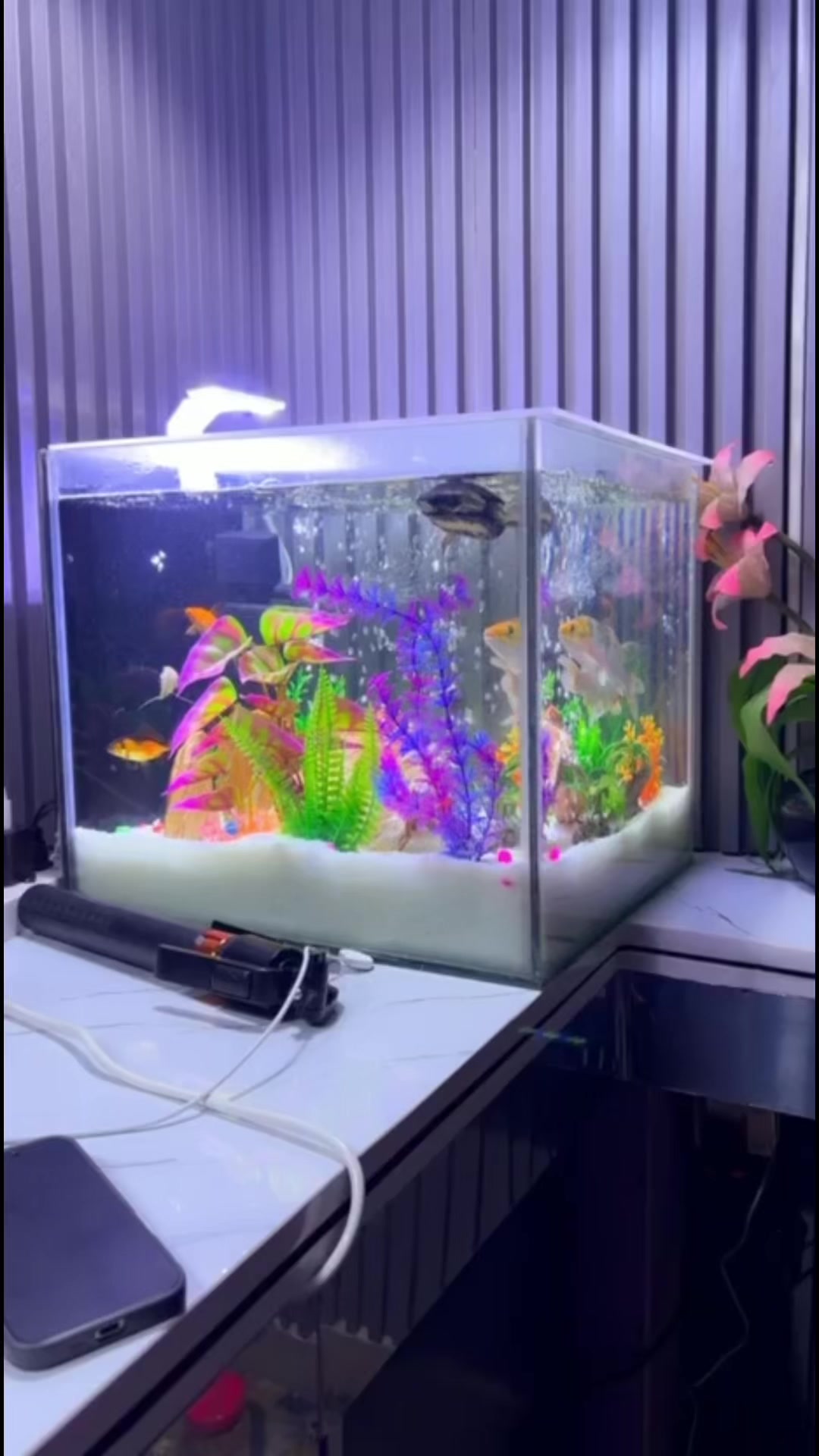 @fishtanks4u_