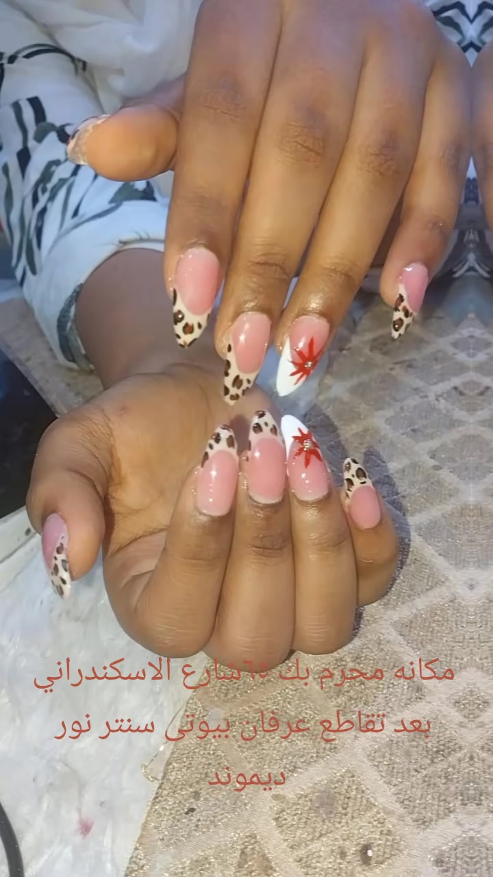 @Nour diamond 💎