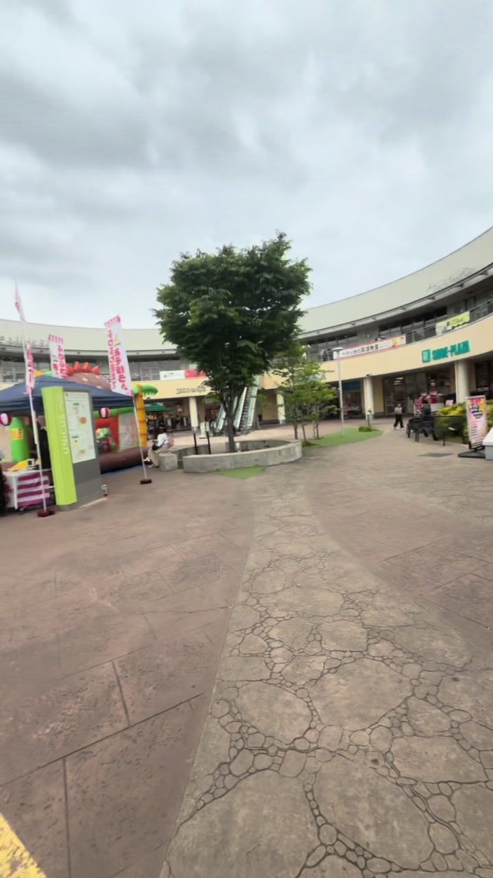 @Cahaya Momo 🇮🇩🇯🇵