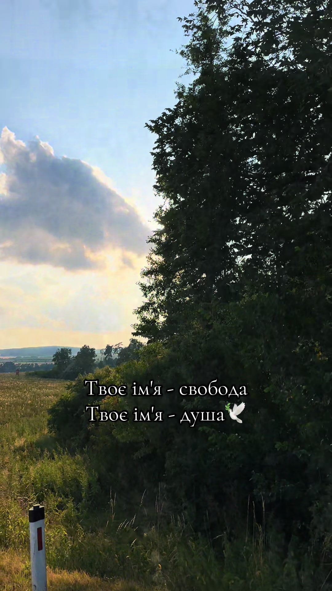 @Юлія Римарчук