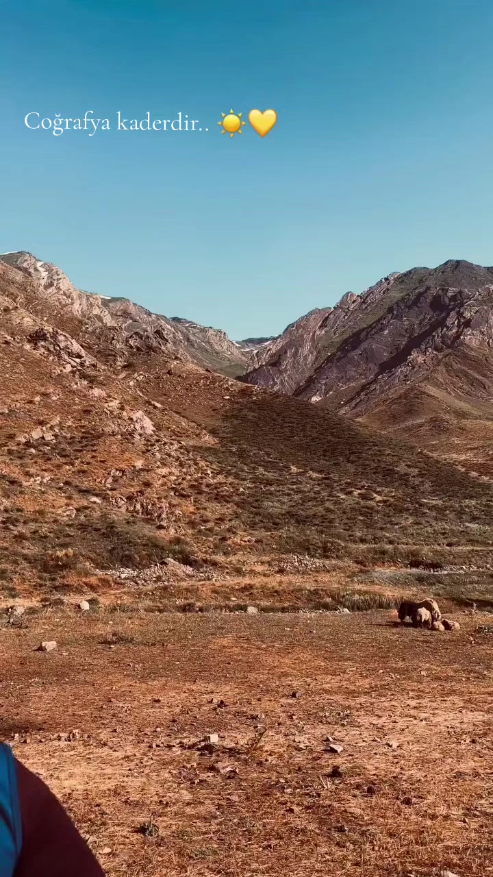 @𝓗𝓮𝓵𝓫𝓮𝓼𝓽_47