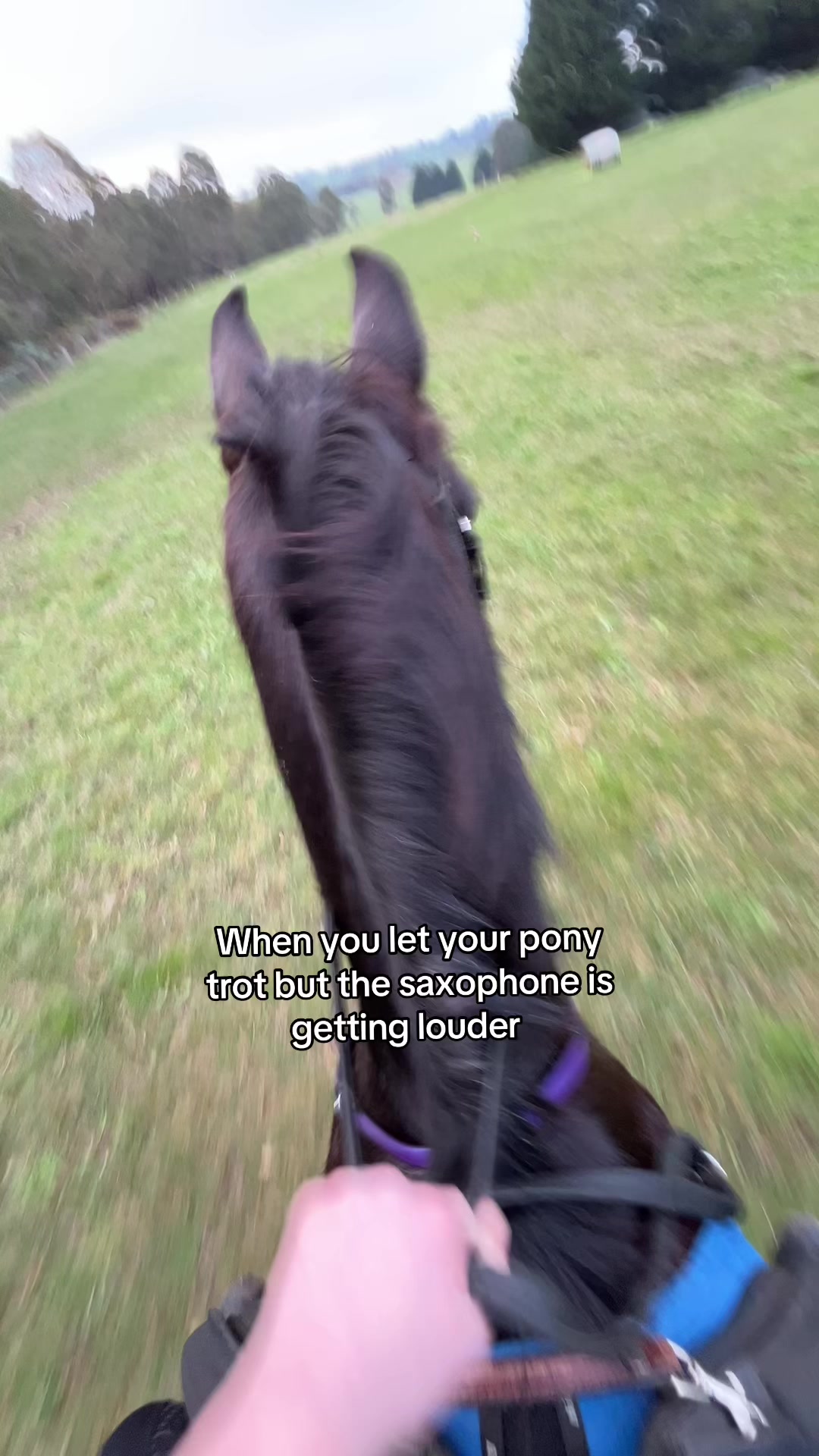 @Sammy🇦🇺💛🤎
