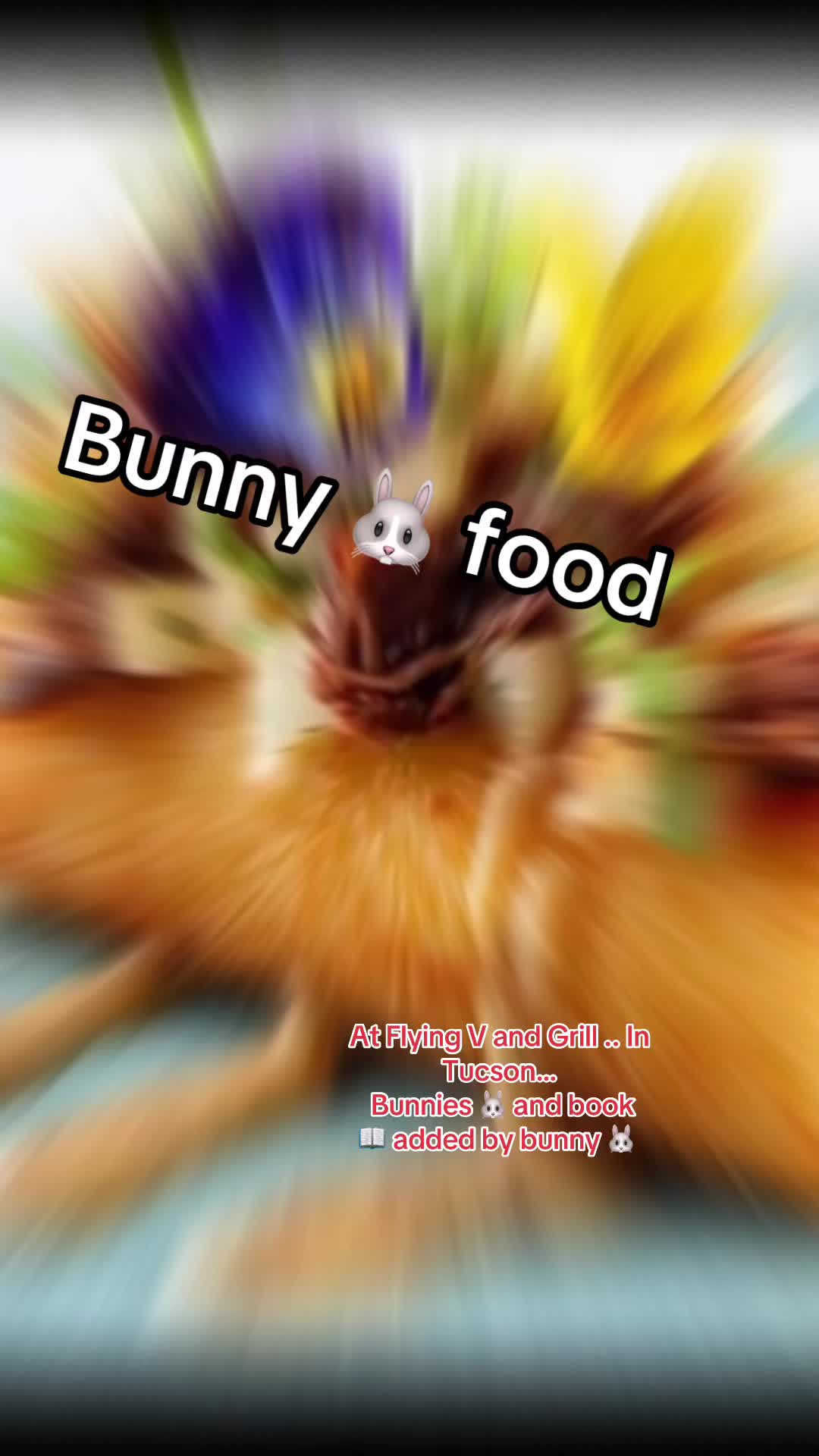 @Bunnytakesnotes1111