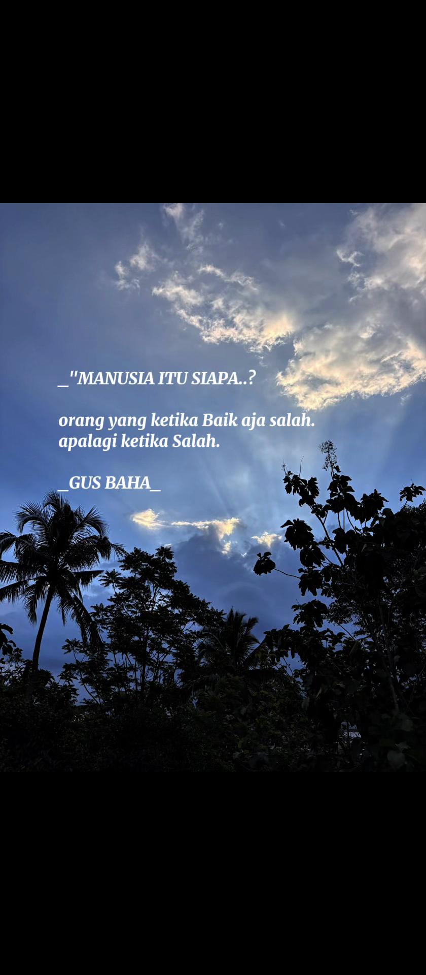 @Tiwis Tea