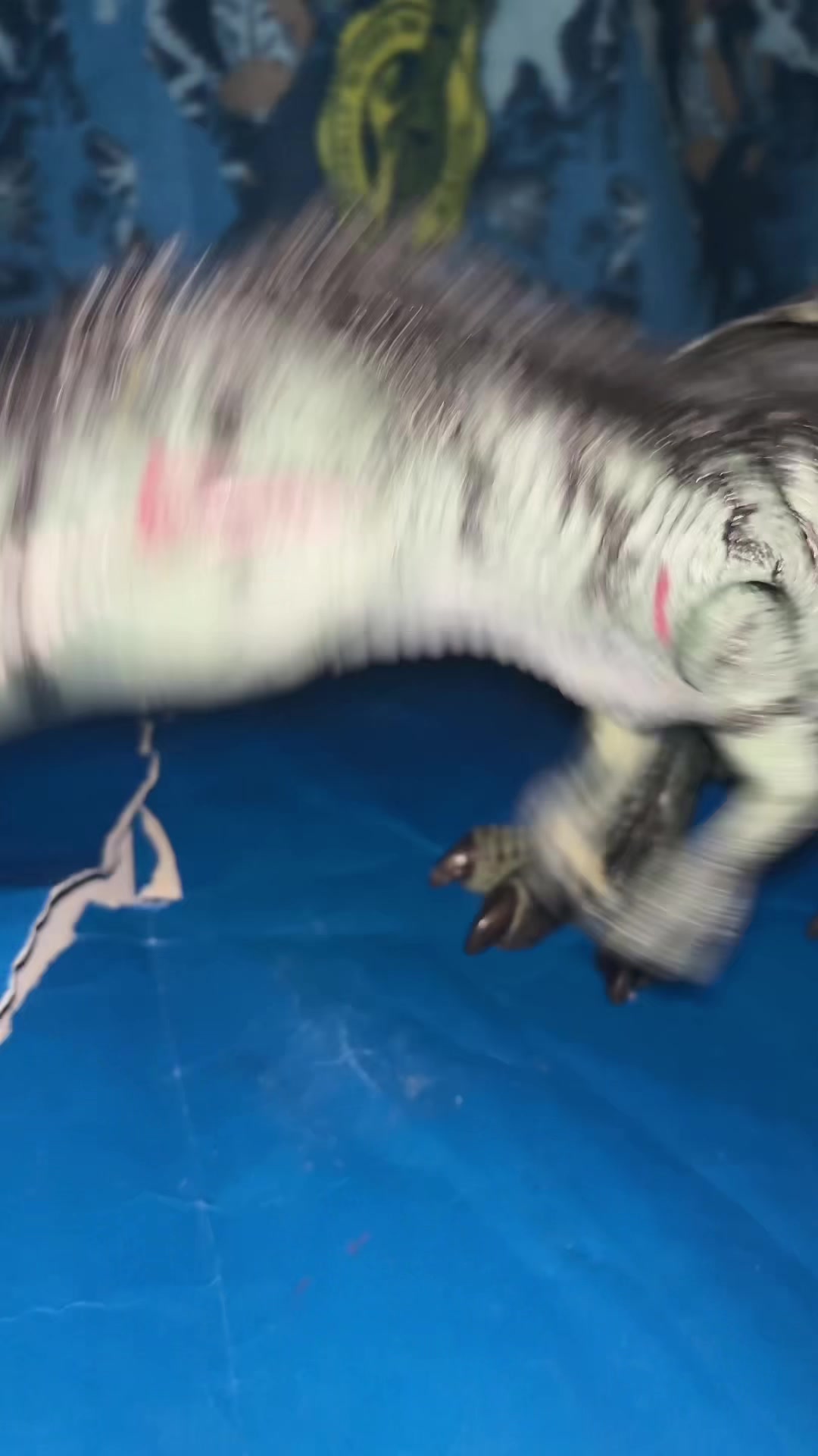 @𝐼𝒩𝒟𝒪𝑀𝒵𝐼𝐿𝐿𝒜