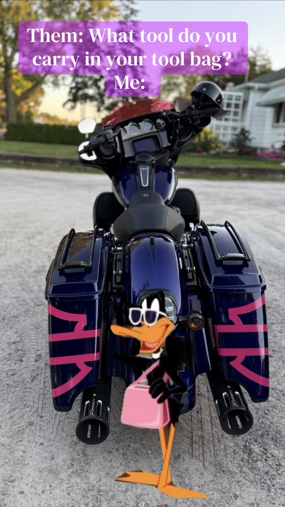 @Mini Me N her Bagger 🖤💜💙