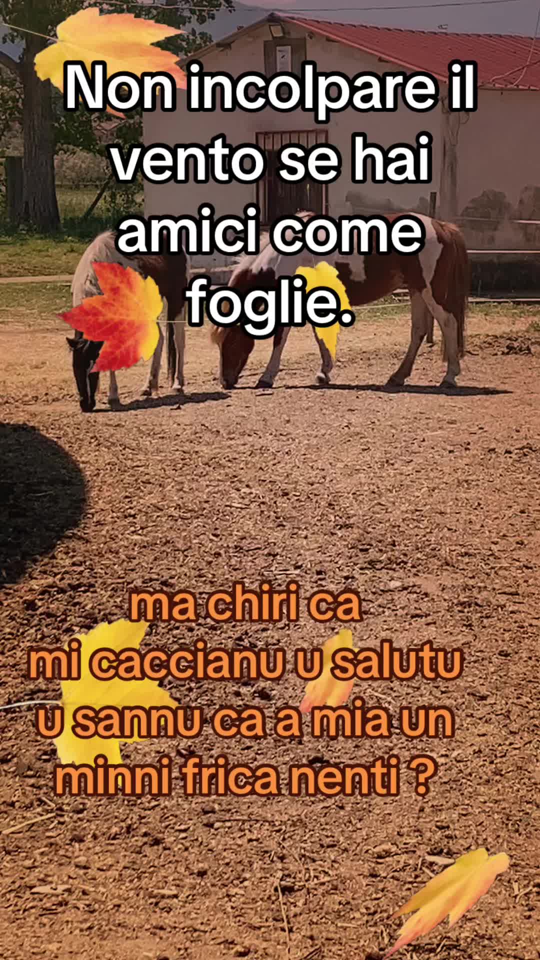 @Tot&ograve;ucurtu