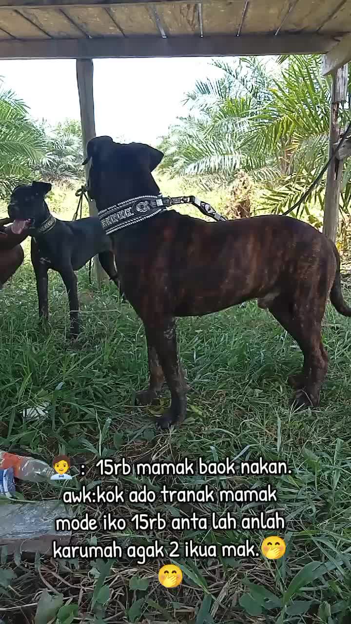 @Aldi nur