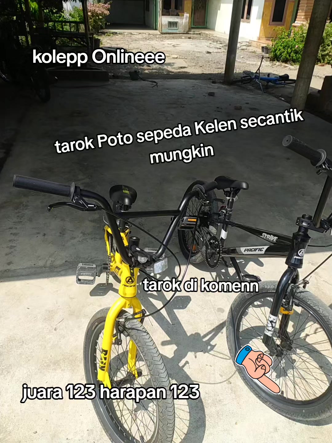 @official_kelinci_spedd
