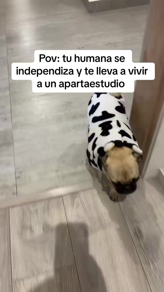 @Alexa&elcarnalchiss