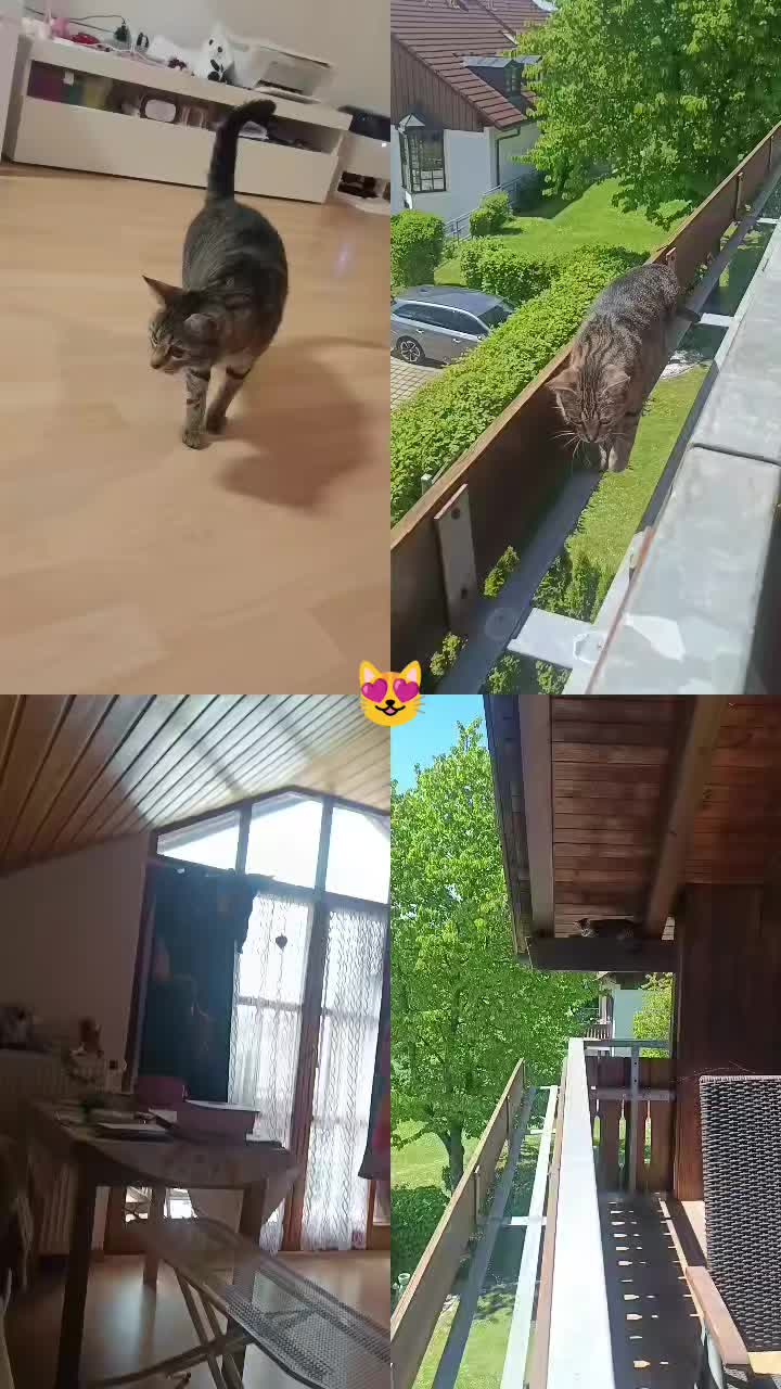 @Мальвінкаа💛💙