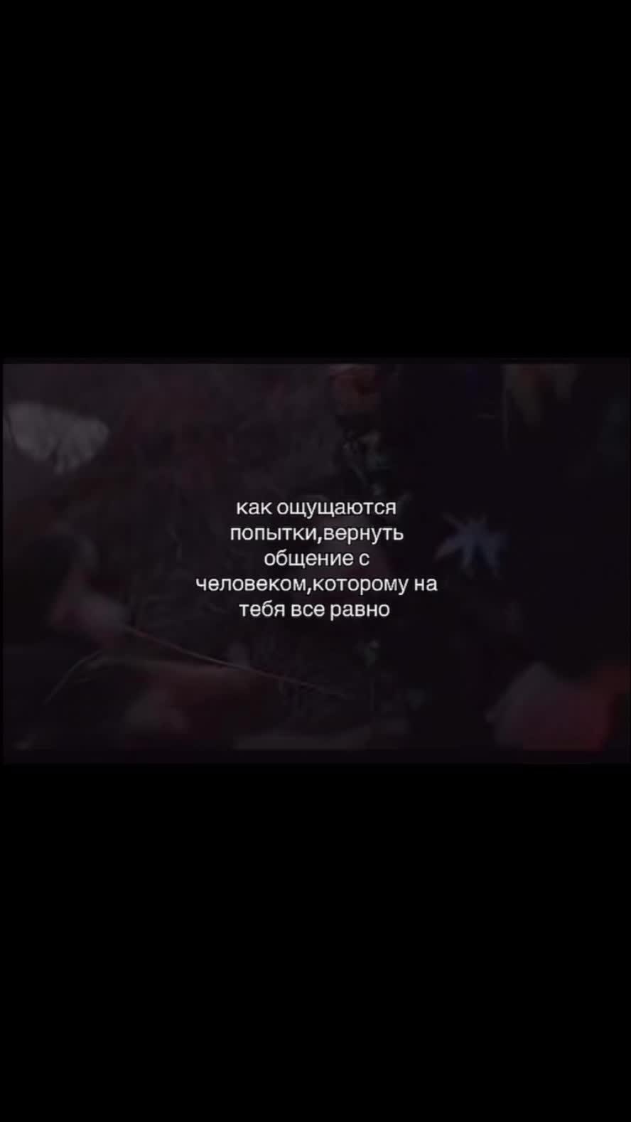 @мейби хмурая лапа