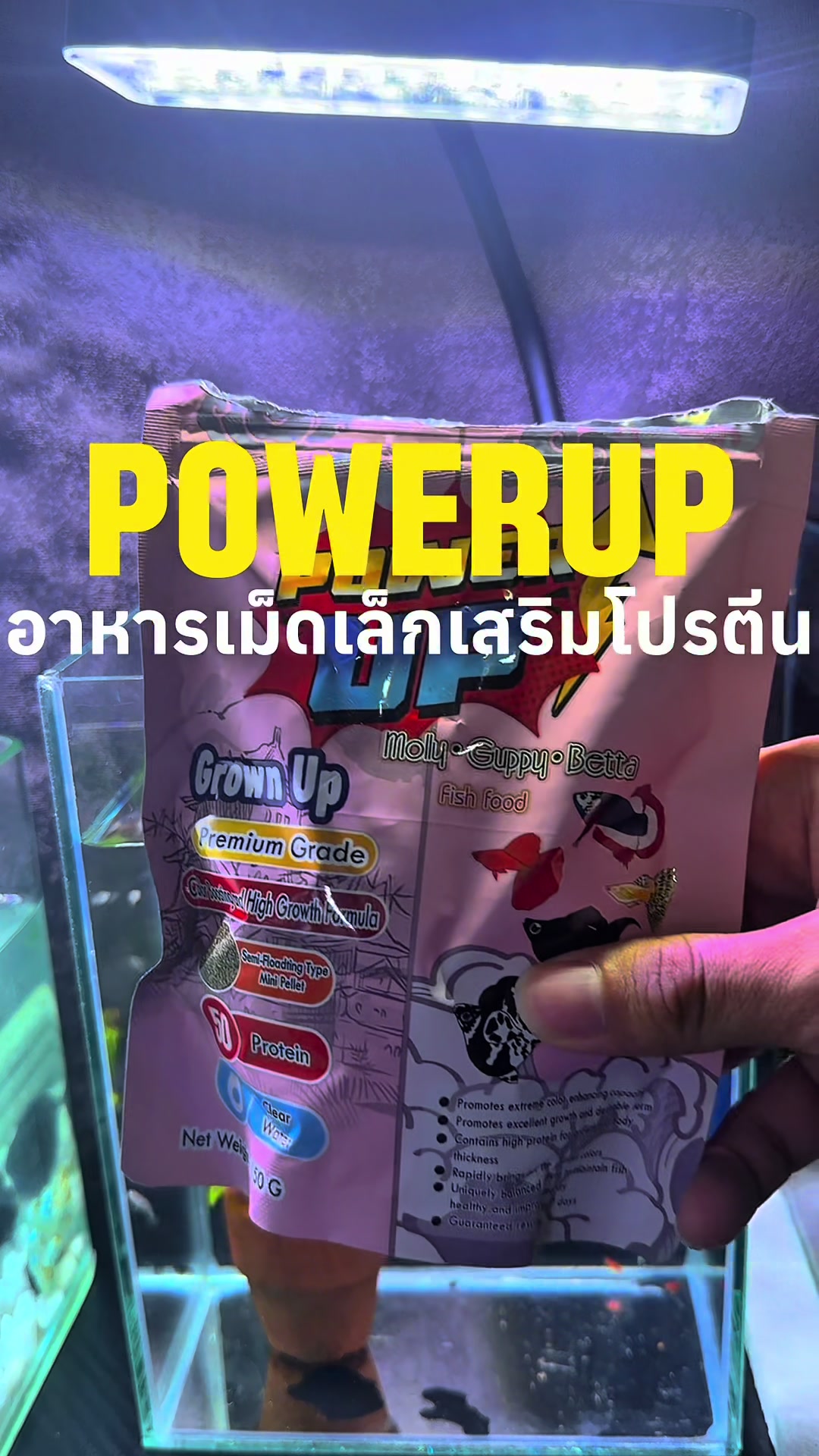 @แมวพารีวิว