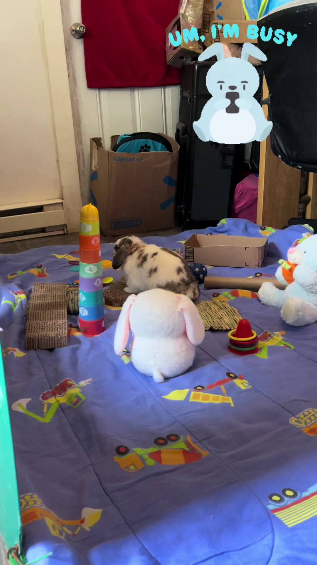 @Mrdivaandgizmoandfriends
