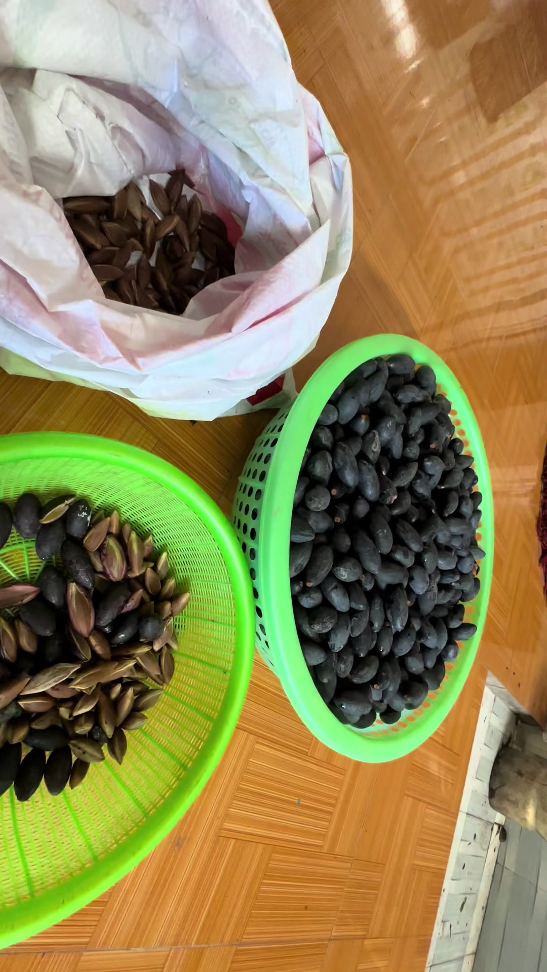 @Nhà Vườn Vũ Mai