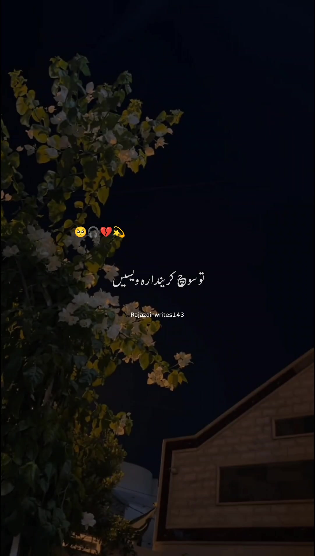 @✌️راجہ صاحب🔥